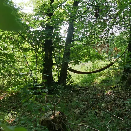 Luksusowy namiot De L'aigle