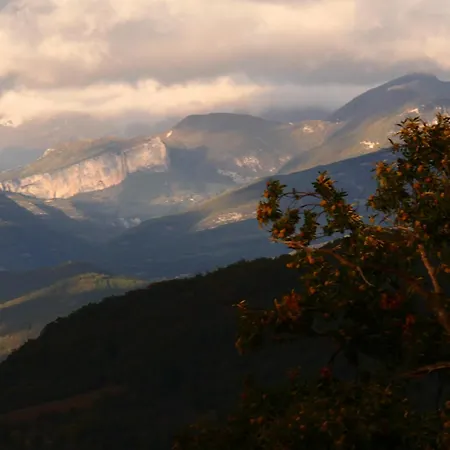 De L'aigle