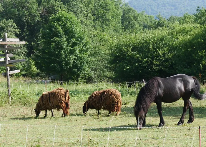 De L'aigle *